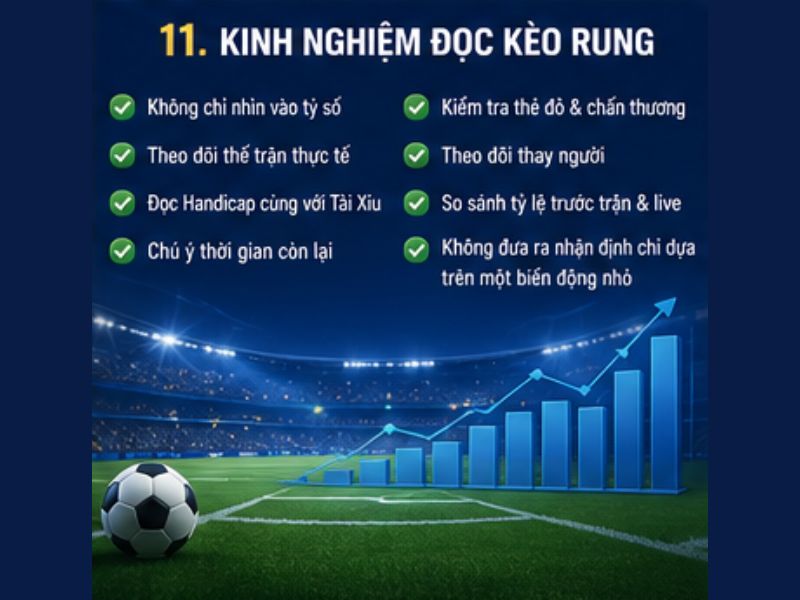 Kinh Nghiệm Đọc Kèo Rung