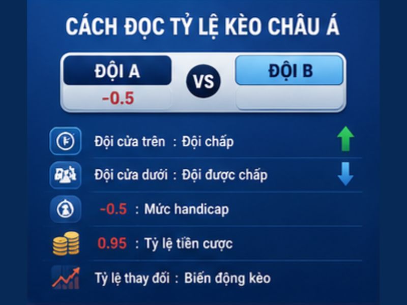 Cách Đọc Tỷ Lệ Kèo Châu Á GO8