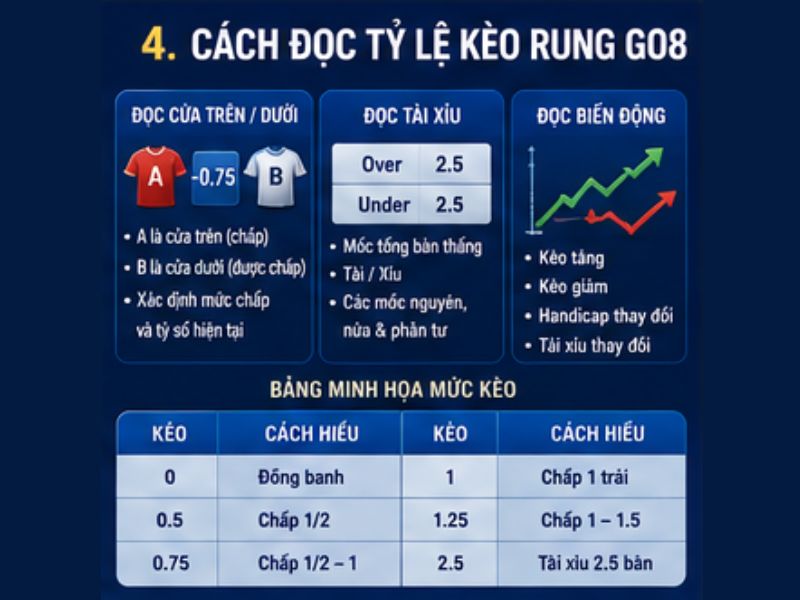 Cách Đọc Tỷ Lệ Kèo Rung GO8